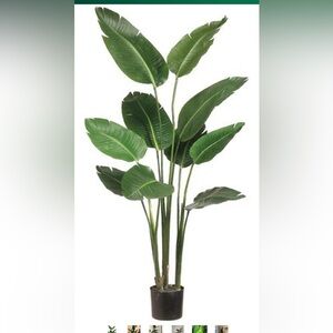 Artificial plants. SET OF TWO!